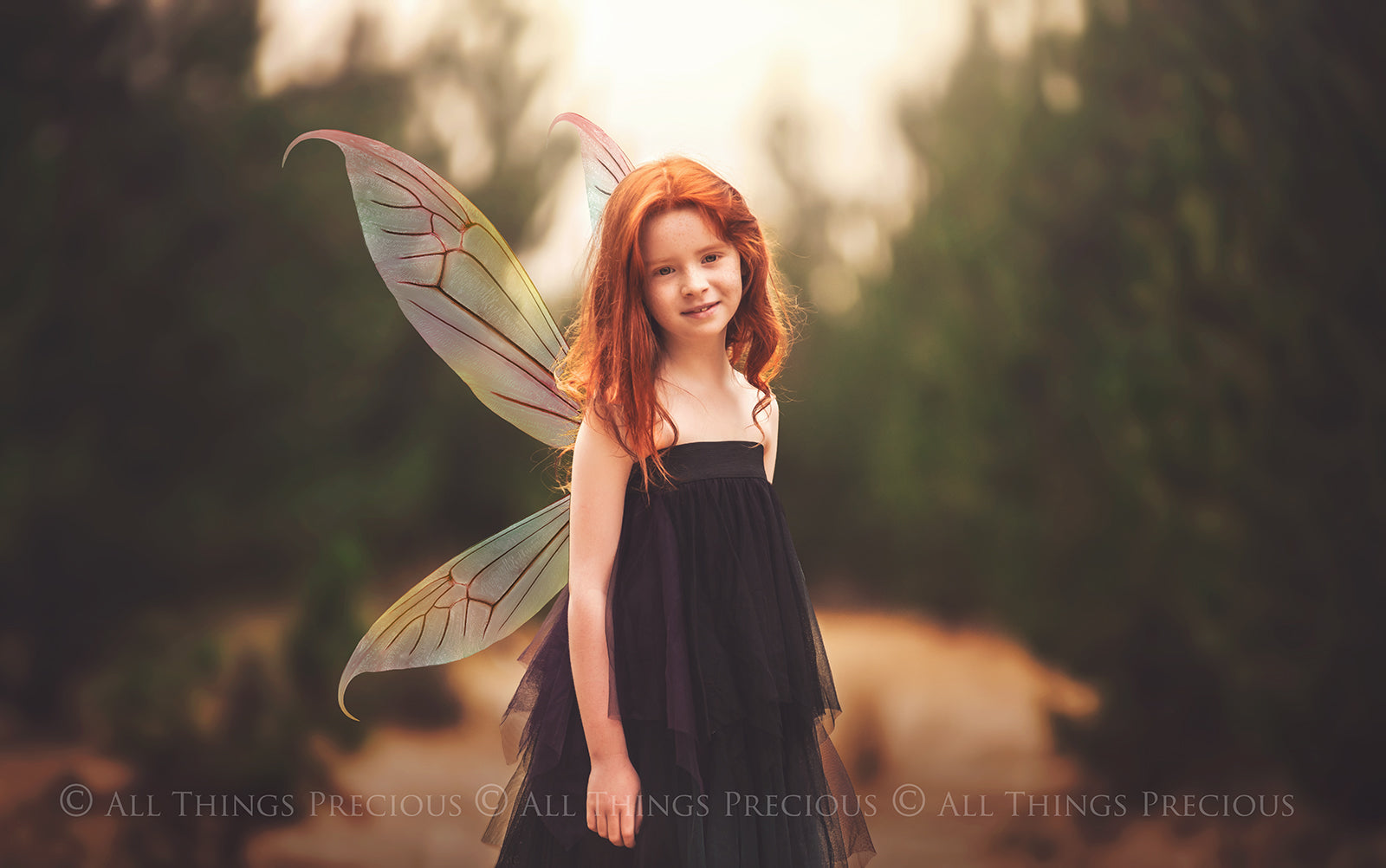 Digital Overlays for Photographers, Graphic design, scrapbooking and creatives.. Fairy Wings. High resolution, fine art digital assets for creating fantasy art.  Png overlay with transparent background. Magical Edit. Png Photo editing art assets.
